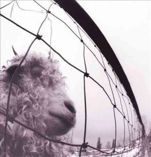 PEARL JAM - VS. 30th Anniversary Vinyl { vinyl }