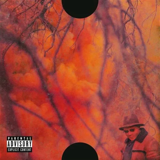 SCHOOLBOY Q - Blank Face Vinyl { vinyl }