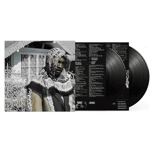JPEGMAFIA - All My Heroes Are Cornballs Vinyl { vinyl }