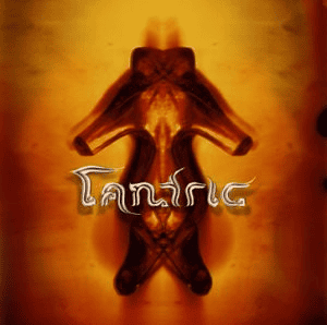 TANTRIC - Tantric Black Friday Edition 2023 Vinyl { vinyl }