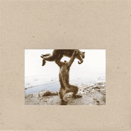 SHELLAC - Dude Incredible Vinyl { vinyl }