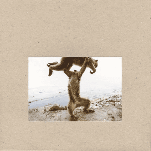 SHELLAC - Dude Incredible Vinyl { vinyl }