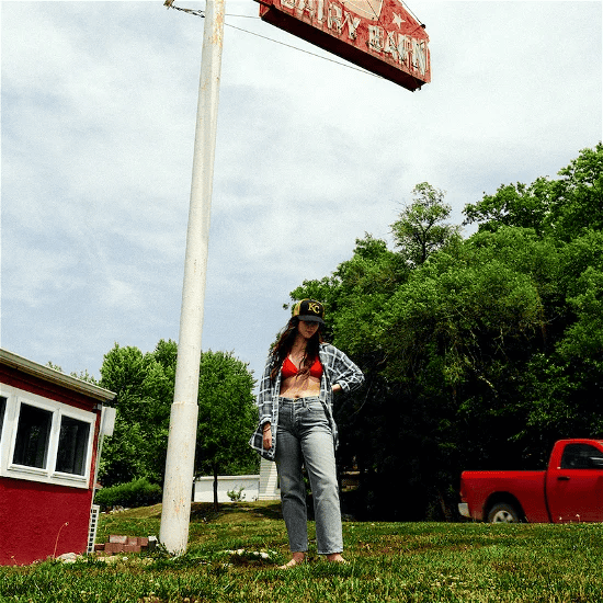 WAXAHATCHEE - Tigers Blood Vinyl { vinyl }