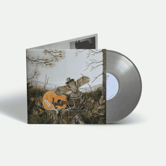 THE DANDY WARHOLS - This Machine Vinyl { vinyl }