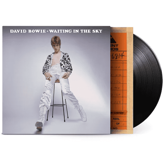 DAVID BOWIE - Waiting In The Sky RSD24 Vinyl