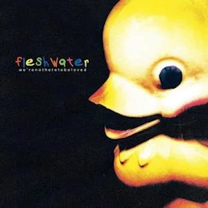 FLESHWATER - We're Not Here To Be Loved Vinyl { vinyl }