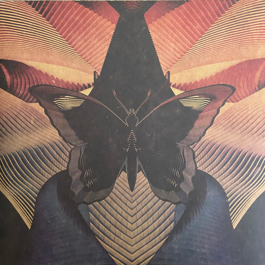 THORNHILL - Butterfly (NM/NM) Vinyl