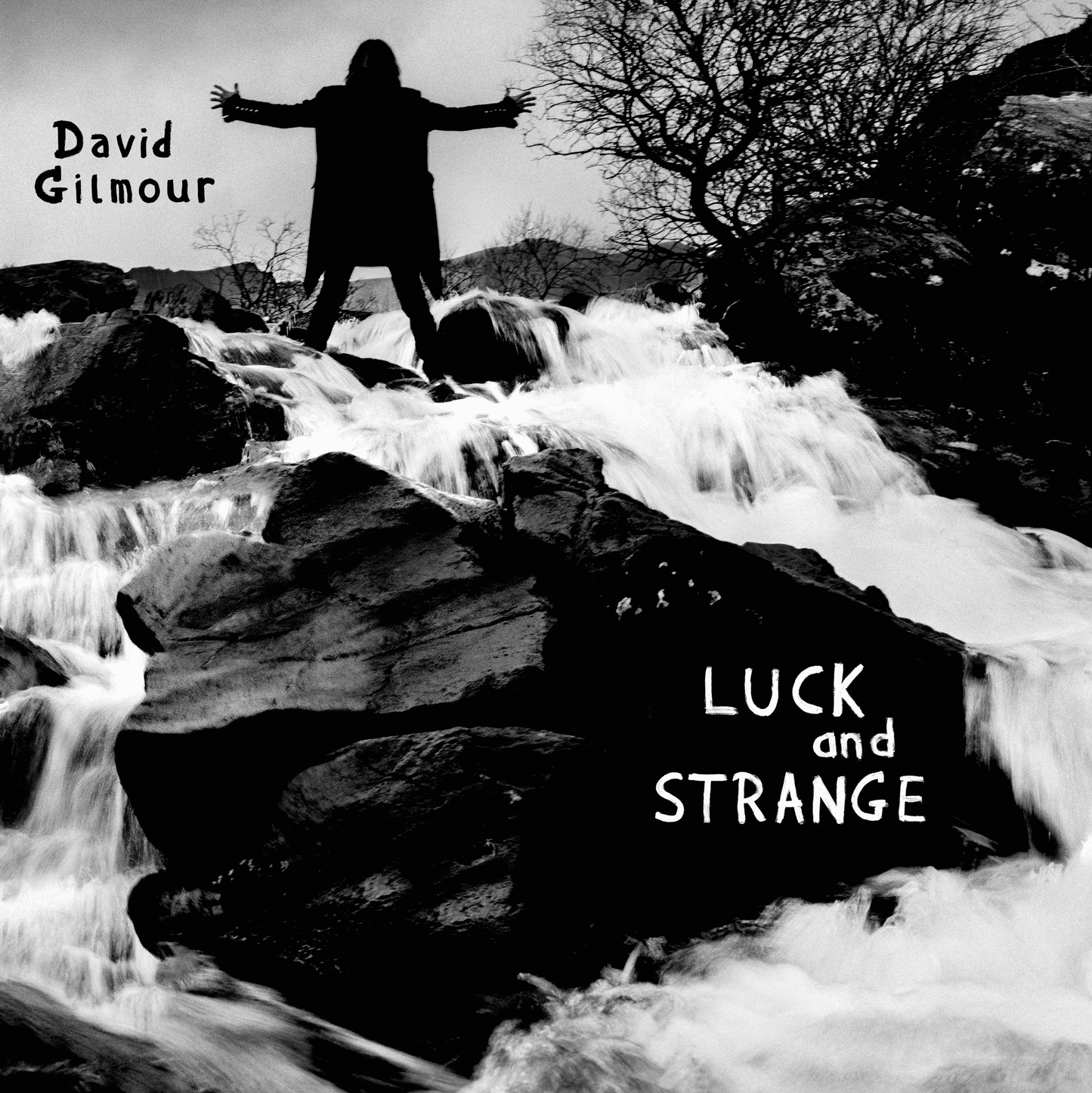 DAVID GILMOUR - Luck and Strange Vinyl { vinyl }