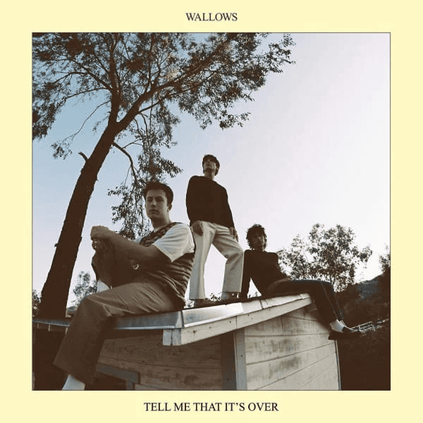 WALLOWS - Tell Me That It's Over Vinyl { vinyl }