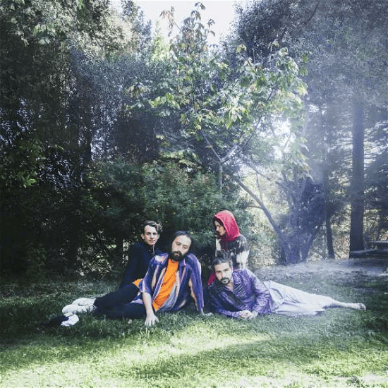 BIG THIEF - U.F.O.F Vinyl { vinyl }