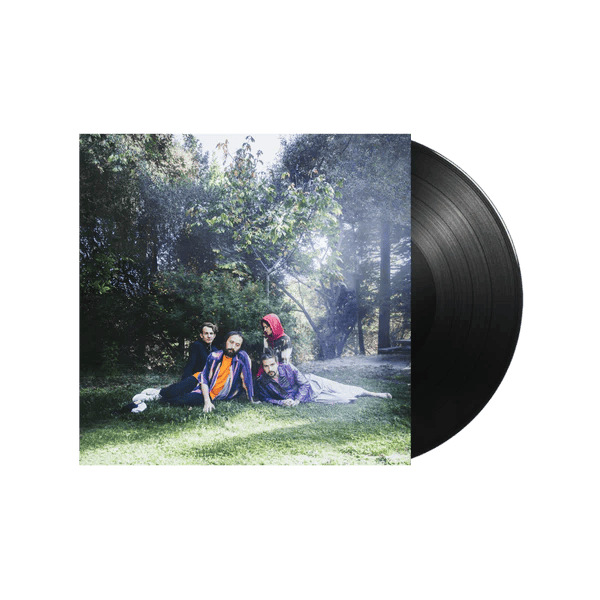 BIG THIEF - U.F.O.F Vinyl { vinyl }