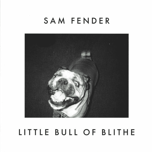 SAM FENDER - Wild Grey Ocean / Little Bull Of Blithe (RSD 7") Vinyl