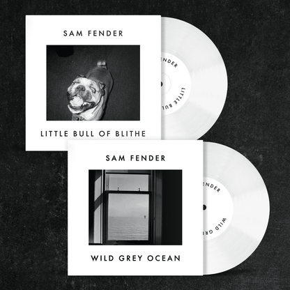 SAM FENDER - Wild Grey Ocean / Little Bull Of Blithe (RSD 7") Vinyl