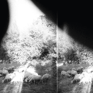 GODSPEED YOU! BLACK EMPEROR - Asunder, Sweet and Other Distress Vinyl { vinyl }