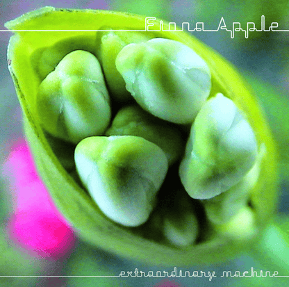 FIONA APPLE - Extraordinary Machine Vinyl { vinyl }