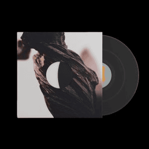 PIXIES - The Night That The Zombies Came Vinyl { vinyl }