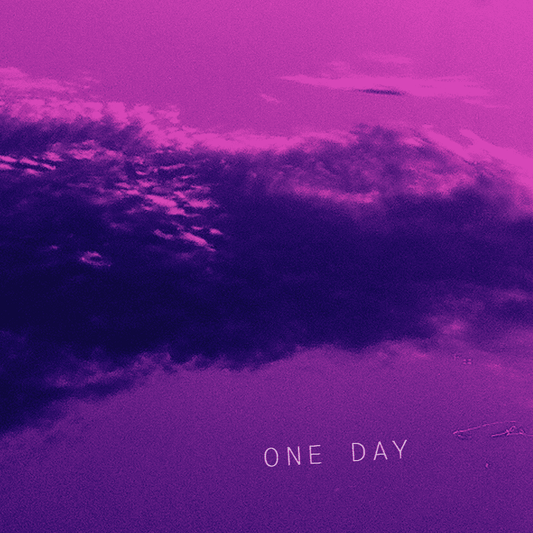 TATE MCRAE - The One Day Vinyl { vinyl }