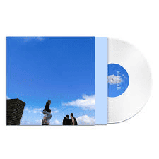 FRED AGAIN - Ten Days Vinyl { vinyl }