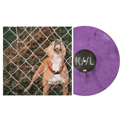 KNOCKED LOOSE - Pop Culture Vinyl { vinyl }