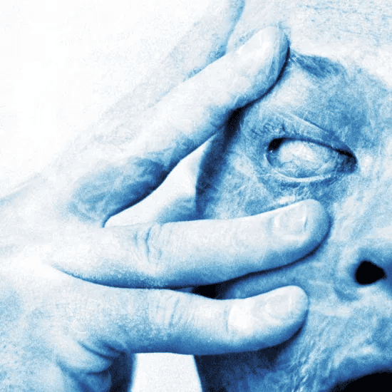 PORCUPINE TREE - In Absentia Vinyl { vinyl }