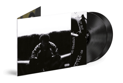 KAYTRANADA - Timeless Vinyl { vinyl }