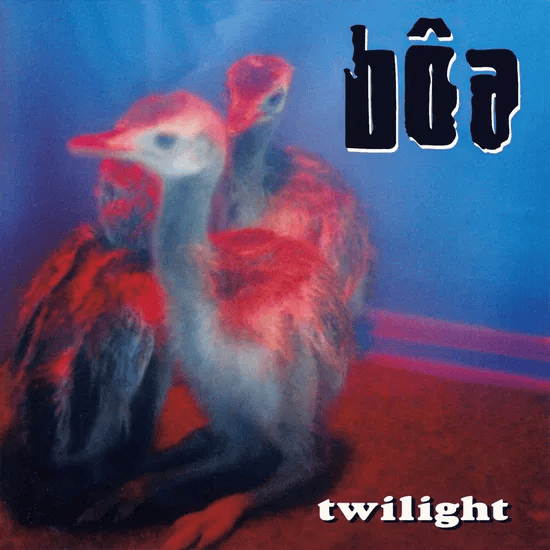 BOA - Twilight Vinyl { vinyl }