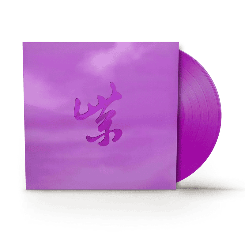 STONE TEMPLE PILOTS - PURPLE RARITIES 30TH ANNIVERSARY SUPER DELUXE RSD Black Friday 2024 Vinyl { vinyl }