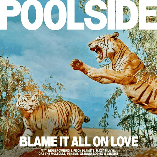 POOLSIDE - Blame It All On Love Vinyl { vinyl }