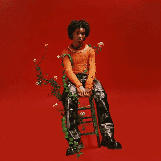 D4VD - Petals To Thorns EP Vinyl { vinyl }