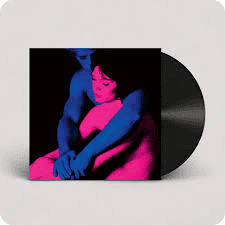 TV GIRL - Who Really Cares Vinyl { vinyl }