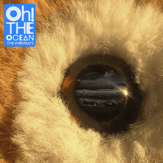 THE WOMBATS - Oh! The Ocean Vinyl { vinyl }