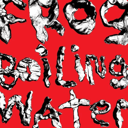 DIIV - Frog in Boiling Water Vinyl { vinyl }