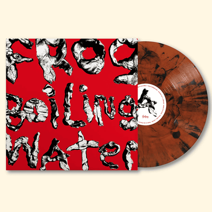 DIIV - Frog in Boiling Water Vinyl { vinyl }