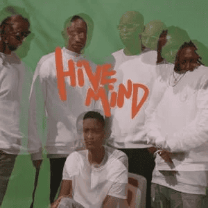 THE INTERNET - Hive Mind Vinyl { vinyl }