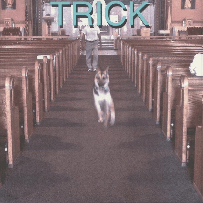 ALEX G - Trick Vinyl { vinyl }