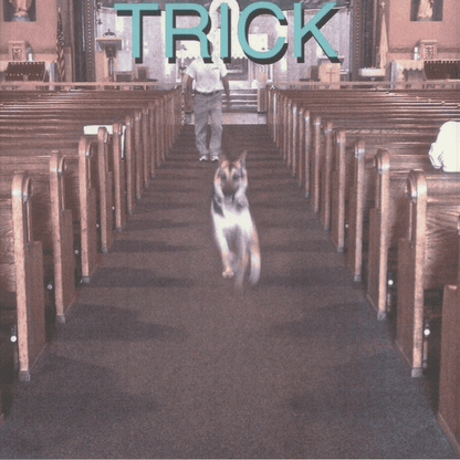 ALEX G - Trick Vinyl { vinyl }