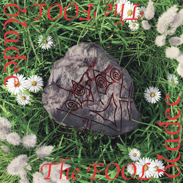 BLADEE - The Fool Vinyl { vinyl }