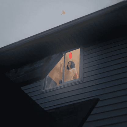 KILLS BIRDS - Crave Vinyl { vinyl }