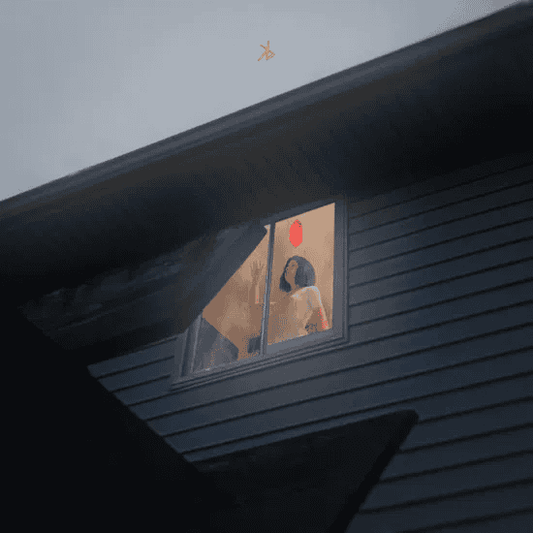 KILLS BIRDS - Crave Vinyl { vinyl }
