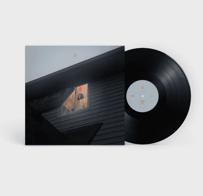 KILLS BIRDS - Crave Vinyl { vinyl }