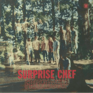 SURPRISE CHEF - Friendship Vinyl { vinyl }