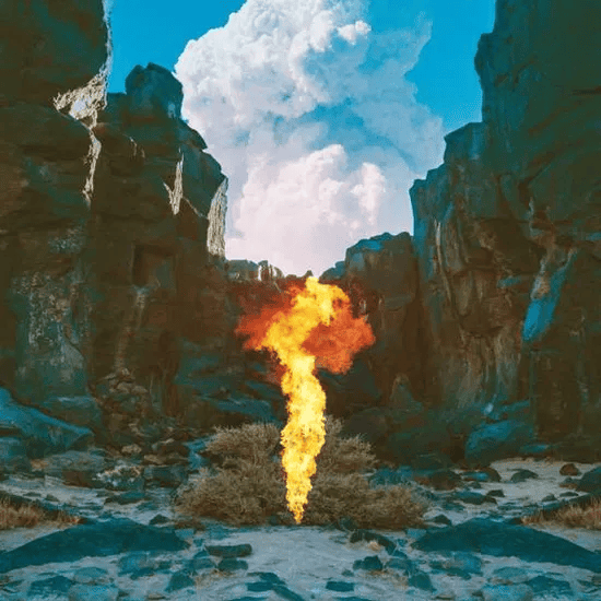 BONOBO - Migration Vinyl { vinyl }