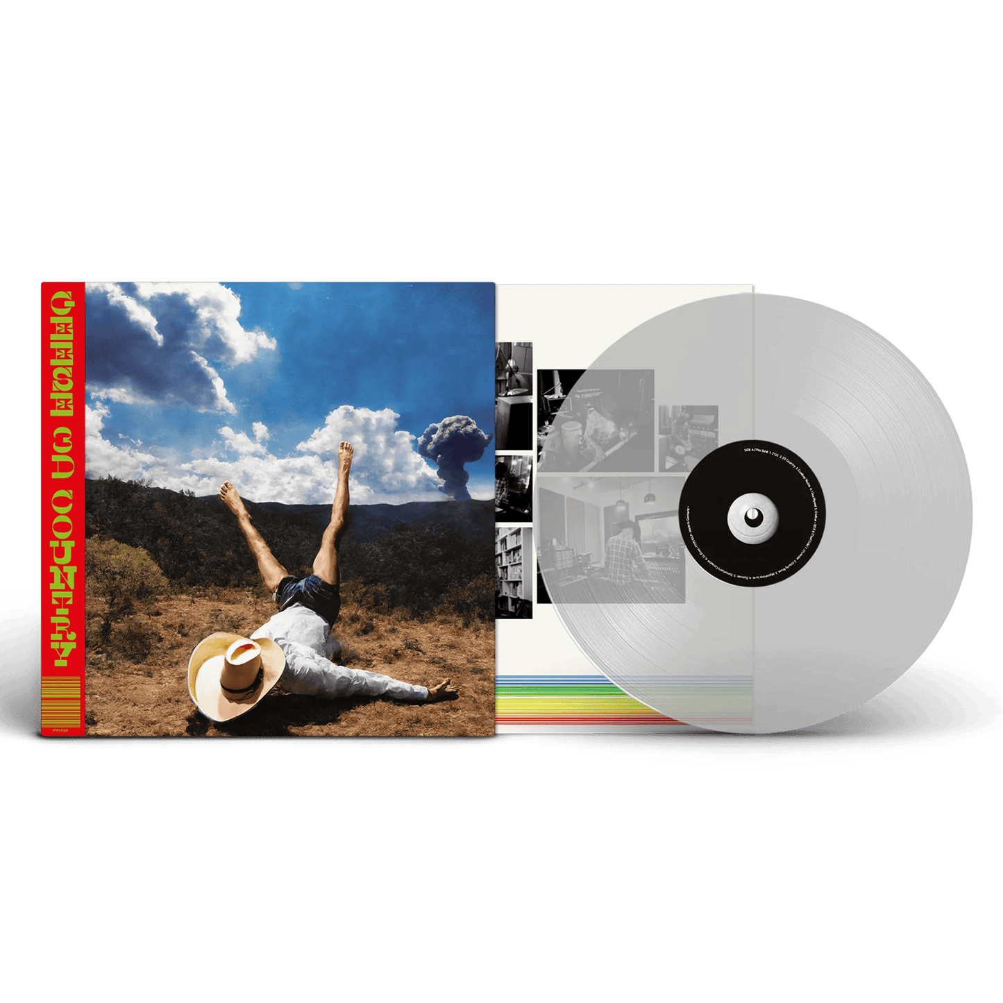 GEESE - 3D Country Vinyl { vinyl }