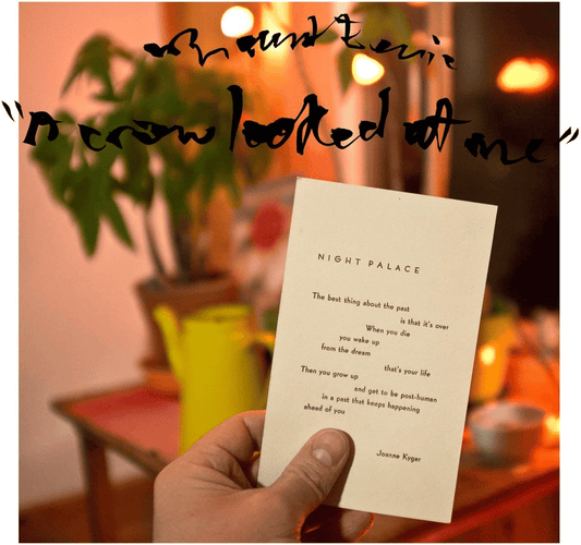 MOUNT EERIE - A Crow Looked At Me Vinyl { vinyl }