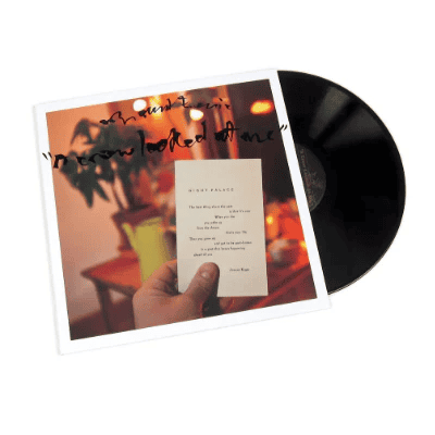 MOUNT EERIE - A Crow Looked At Me Vinyl { vinyl }