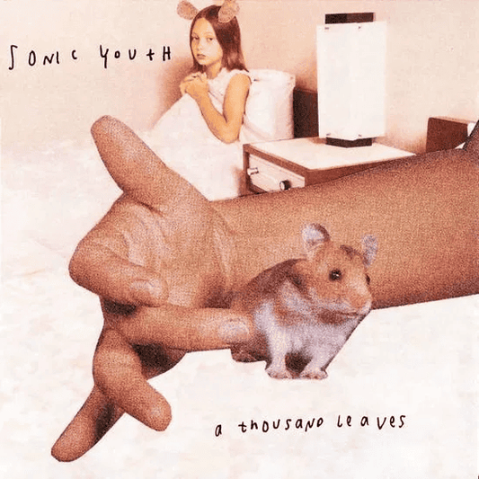 SONIC YOUTH - A Thousand Leaves Vinyl { vinyl }