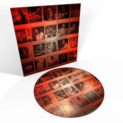 CHRIS CORNELL - No One Sings Like You Anymore Vinyl { vinyl }