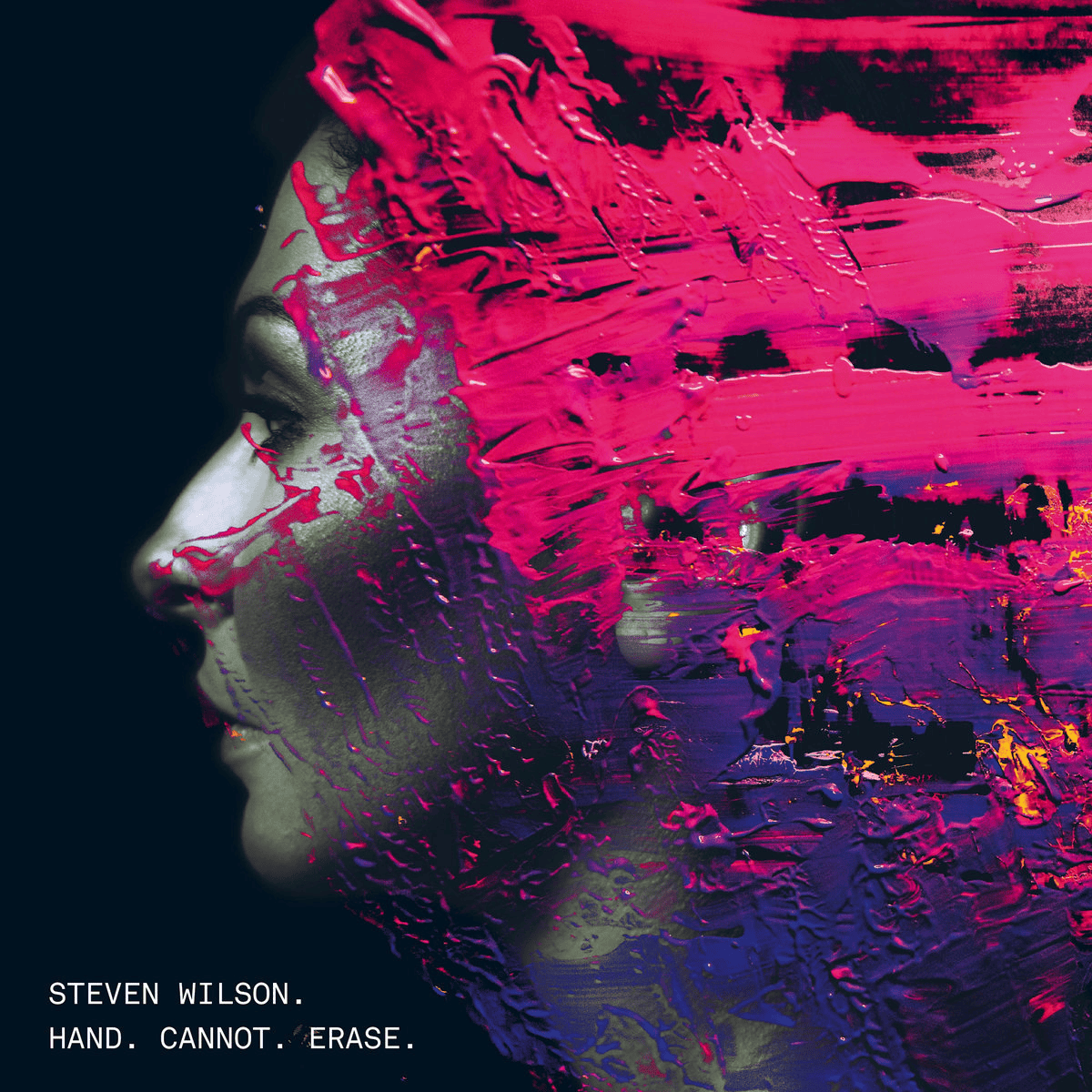STEVEN WILSON - Hand. Cannot. Erase. 10th Anniversary Edition Vinyl { vinyl }