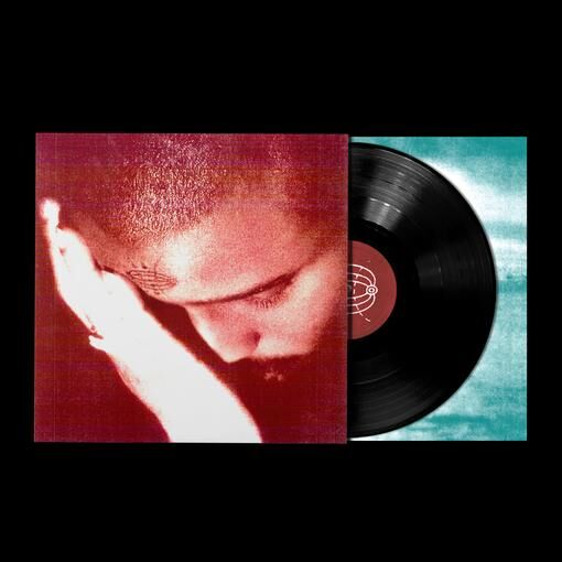 NOURISHED BY TIME - The Passionate Ones Vinyl { vinyl }