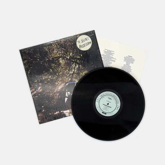 TY SEGALL - Possessions Vinyl { vinyl }